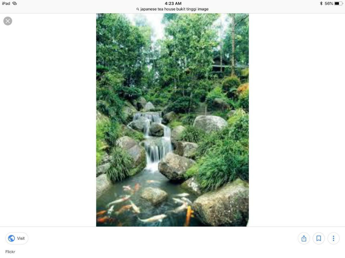 Bukit Tinggi Berjaya Hill Homestay Dış mekan fotoğraf