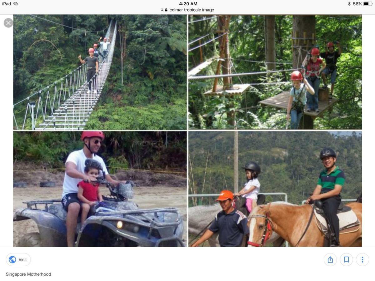 Bukit Tinggi Berjaya Hill Homestay Dış mekan fotoğraf